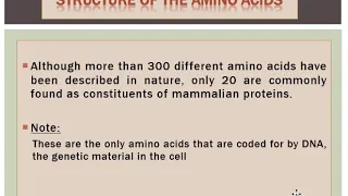 LEC2 : AMINO ACID PART 1