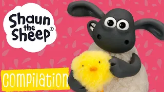Full Episodes 26-30 | Shaun the Sheep S1 Compilation