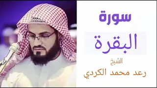 سورة البقرة | بصوت الشيخ رعد محمد الكردي