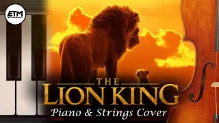 Lion King  Piano & Strings Cover