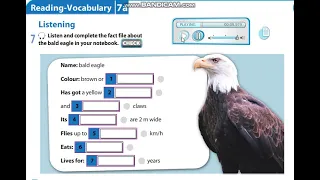 Excel 5 Module 7 p87 ex7 The Bald Eagle Listening