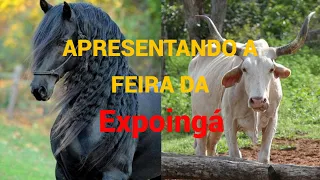 VLOG apresentando GADO FRANQUEIRO, VACAS LEITERAS E CAVALOS NA FEIRA RURAL EM MARINGÁ (parte 1)