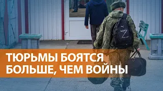 НОВОСТИ СВОБОДЫ: Угрозы от ФСБ мобилизованным. Жёны военных рассказали о допросах на передовой