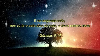 Adhemar de Campos, Trazendo a Arca e Massao / O Leão da Tribo de Judá Nosso Comandante #Gênesis 8:14