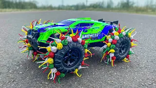 EXPERIMENT :Garlic Snappers glued to R/C Car