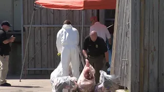 Investigation underway after man’s body was found in dumpster outside Galveston middle school, p...