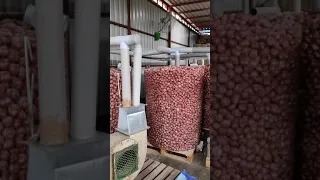 New Concept of Onion Storage