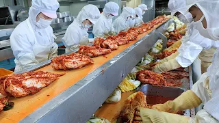 Large Amount Kimchi Making in Korean Kimchi Factory / 김치공장의 배추김치 만들기 / Korean Food