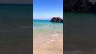 Summertime in St Ives. 💙 #cornwall #stives #shortsvideo #placestostay #staycation #ukholidays