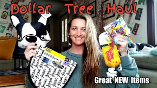 Dollar Tree Haul | All New Items | Ideas on How To Use Them| Dec 30