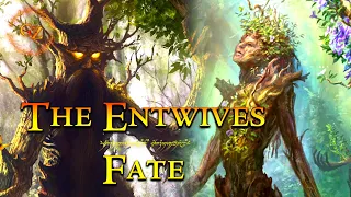 What Happened to the Entwives? | Lord of the Rings Lore | Middle-Earth