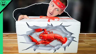 Mystery Box Cooking Challenge!! LIVE 5 Pound Lobster!