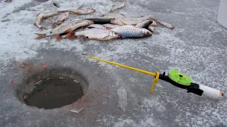 Первая РЫБАЛКА🐟🐟🐟 на ПЛОТВУ.Ловля ПЛОТВЫ ЗИМОЙ Зимняя рыбалка на мормышку #familyfishing#рыбалка#