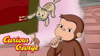 George Investigates a Mystery 🐵 Curious George 🐵 Kids Cartoon 🐵 Kids Movies