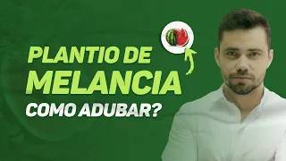 #10 - Plantio de melancia - como adubar?