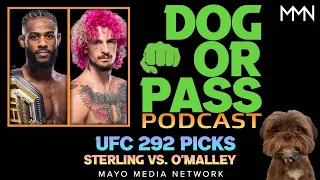 UFC 292 Picks, Bets | Sterling vs O'Malley Fight Previews | Conor, Jake Paul, Elon vs Zuckerberg