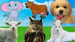 Cute Animal sounds: Elephant, chicken, cow, horse, goat, sheep, dog, cat, duck,  Animal Sound 143