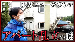 【謎】空き地だらけの町になぜかアパート乱立、多古町の限界ニュータウンに潜入 #楽待特集