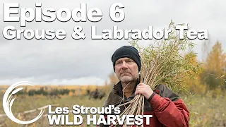 Survivorman | Les Stroud's Wild Harvest | Season 1 | Episode 6 | Grouse & Labrador Tea