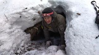 Весеннее тропление бурого медведя