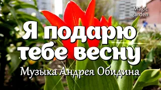 Я подарю тебе весну - Музыка Андрея Обидина. Красивая мелодия. Музыка для души.