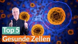 Langfristig gesunde Zellen | Das kannst DU verbessern