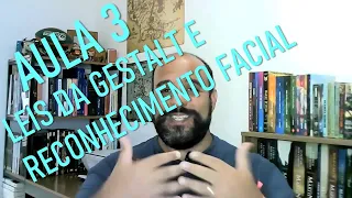 Aula 3: Reconhecimento de objetos e de faces - Psicologia e Processos Básicos I - IP/UERJ