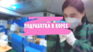 [работа в корее] Мой первый арбайт / Сколько я заработала за одинь день?