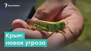 Крым. Дефицит воды и новая угроза | Крым за неделю с Александром Янковским