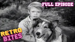 Lassie | Lassie's Decision | Full Episodes  🐕