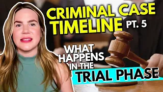 What Happens in the Trial Phase? (Criminal Case Timeline Part 5)