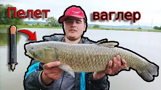 Риболов на ПЕЛЕТ ВАГЛЕР с МАЧ! Разбихме ШАРАНИТЕ и АМУРИТЕ с Петко! PELLET WAGGLER  fishing for CARP