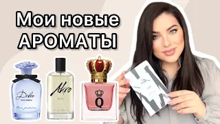 НОВИНКИ АПРЕЛЯ! AKRO и D&G!