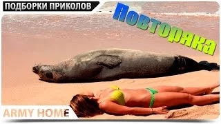 ПРИКОЛЮХА #220 ПРИКОЛЫ подборка приколов Сентябрь 2015 приколы 2015 жесть ржака угар ржач компиляция