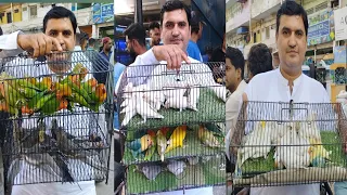 Birds Market Lalukhet Sunday Video Latest Update 28-1-24 in Urdu