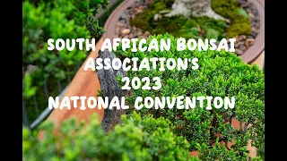 A walk through of the South African Bonsai Association's 2023 Convention