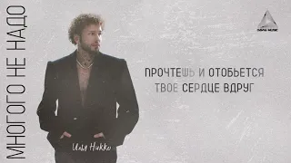 Илья Никко -  Многого не надо (Lyrics Video)