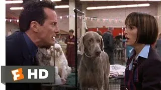 Best in Show (6/11) Movie CLIP - Busy Bee (2000) HD