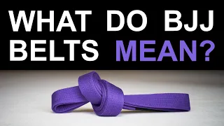 What Do BJJ Belts Mean?