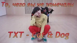 То, чего вы не замечали - TXT (Cat & Dog |Appeal ver. ) Dance Practice