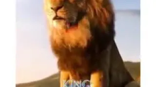 Lion king