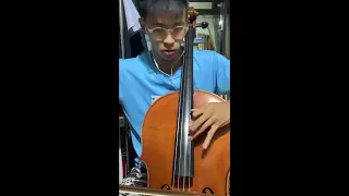 Skoryk - melody (from the movie “The High Pass”) (cello cover)