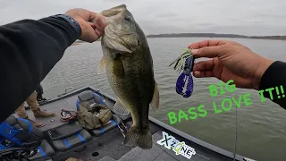 1ST Time On The Boat In 2024! BIG BASS Of The Year!!