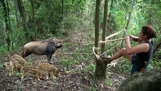 Daily life in the forest, building shelters, setting traps and hunting wild boar, survival. alone