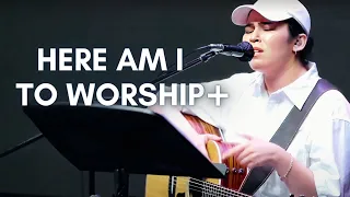 Here I Am To Worship + Spontaneous | Prayer Room Highlights