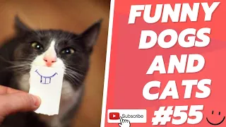 Funny Animal Videos 2022  Best Dogs And Cats Videos 😺😍 # 55