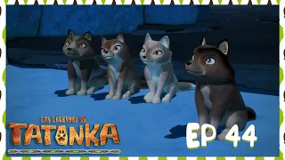 Tatonka en français 🐺 Une Pomme de Pin pas comme les autres 🐺 Dessin animé de loups