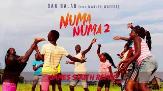 Dan Balan - Numa Numa 2 (feat. Marley Waters) | James South Remix