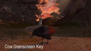 Crow Greenscreen Key