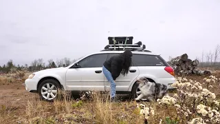 Solo Car Camping in Creepy Wilderness | Blue's Birthday | Living in my Subaru